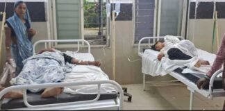 माता की मूर्ति विसर्जन यात्रा में मधुमक्खियों का हमला, मची भगदड़; 25 लोग घायल, 13 अस्पताल में भर्ती