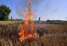 पंजाब में हरियाणा से ज्यादा पराली जलने का दावा, चंडीगढ़ में प्रदूषण पर बढ़ेगी निगरानी