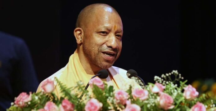 yogi_0_2_3-11.jpg