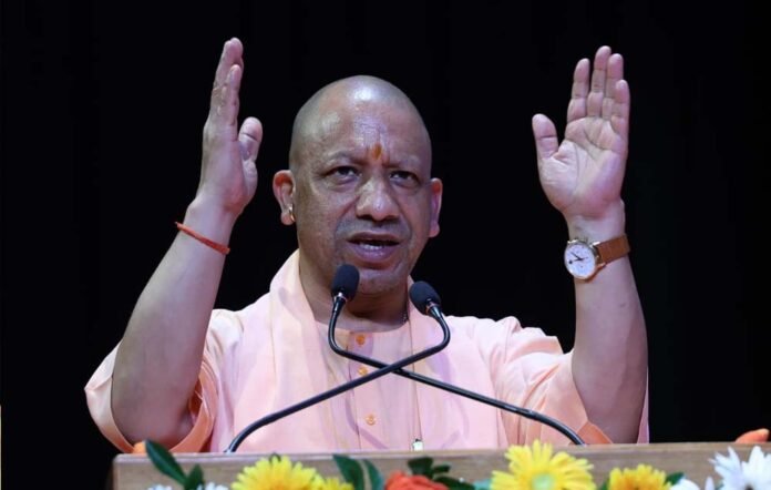 yogi_119_3-3.jpg